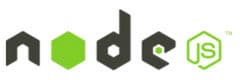 Node JS