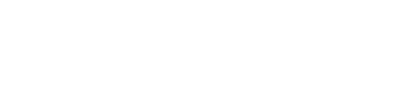 MBA General Management-90 ECTS